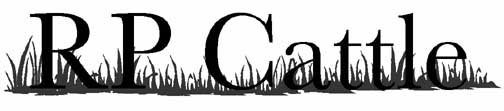 RP Cattle logo